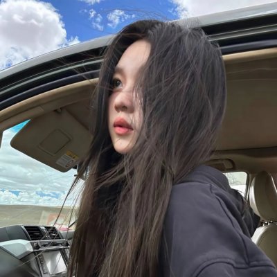 蛊惑狗寻宝